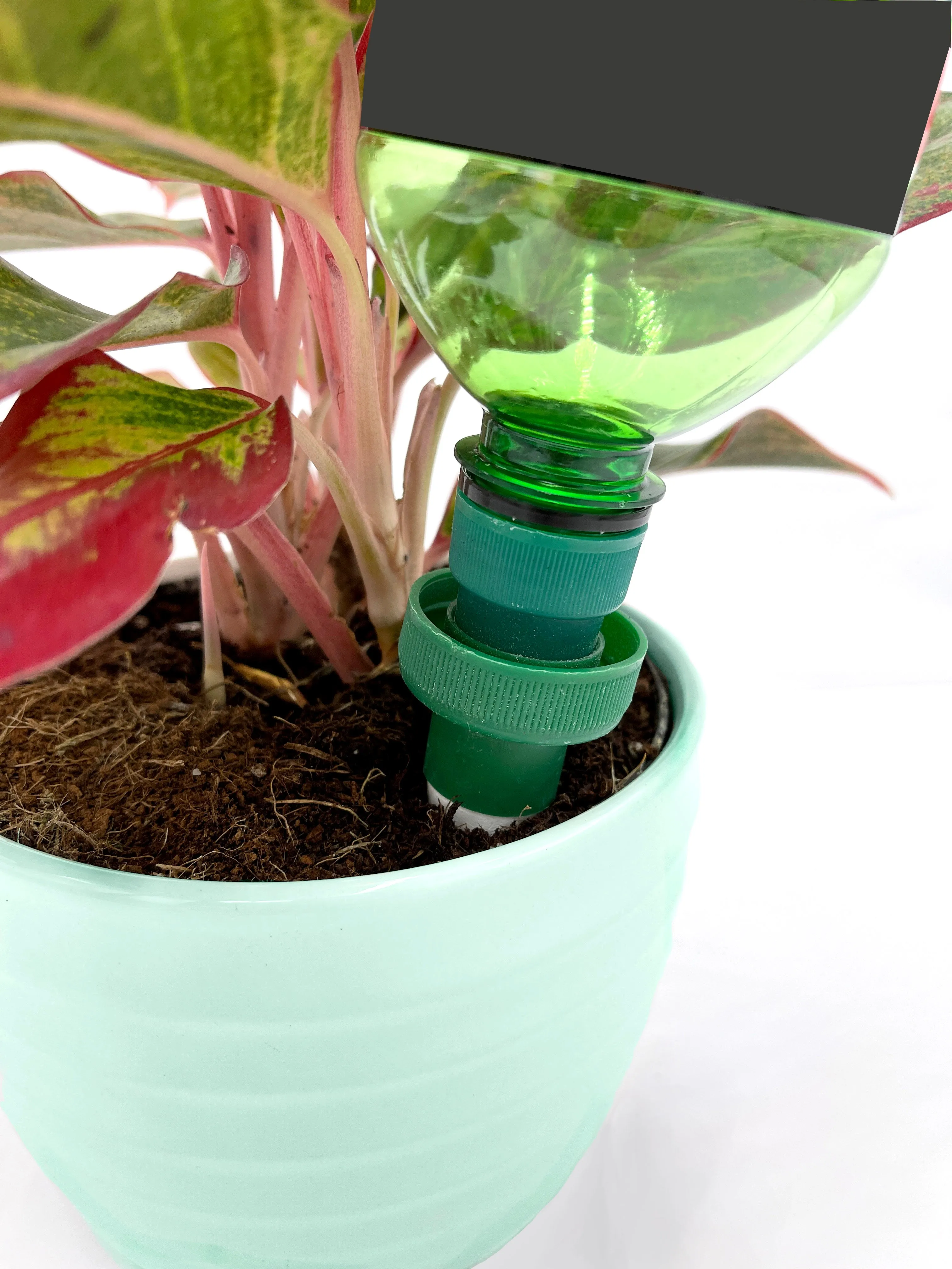 Bottle Water Drinks