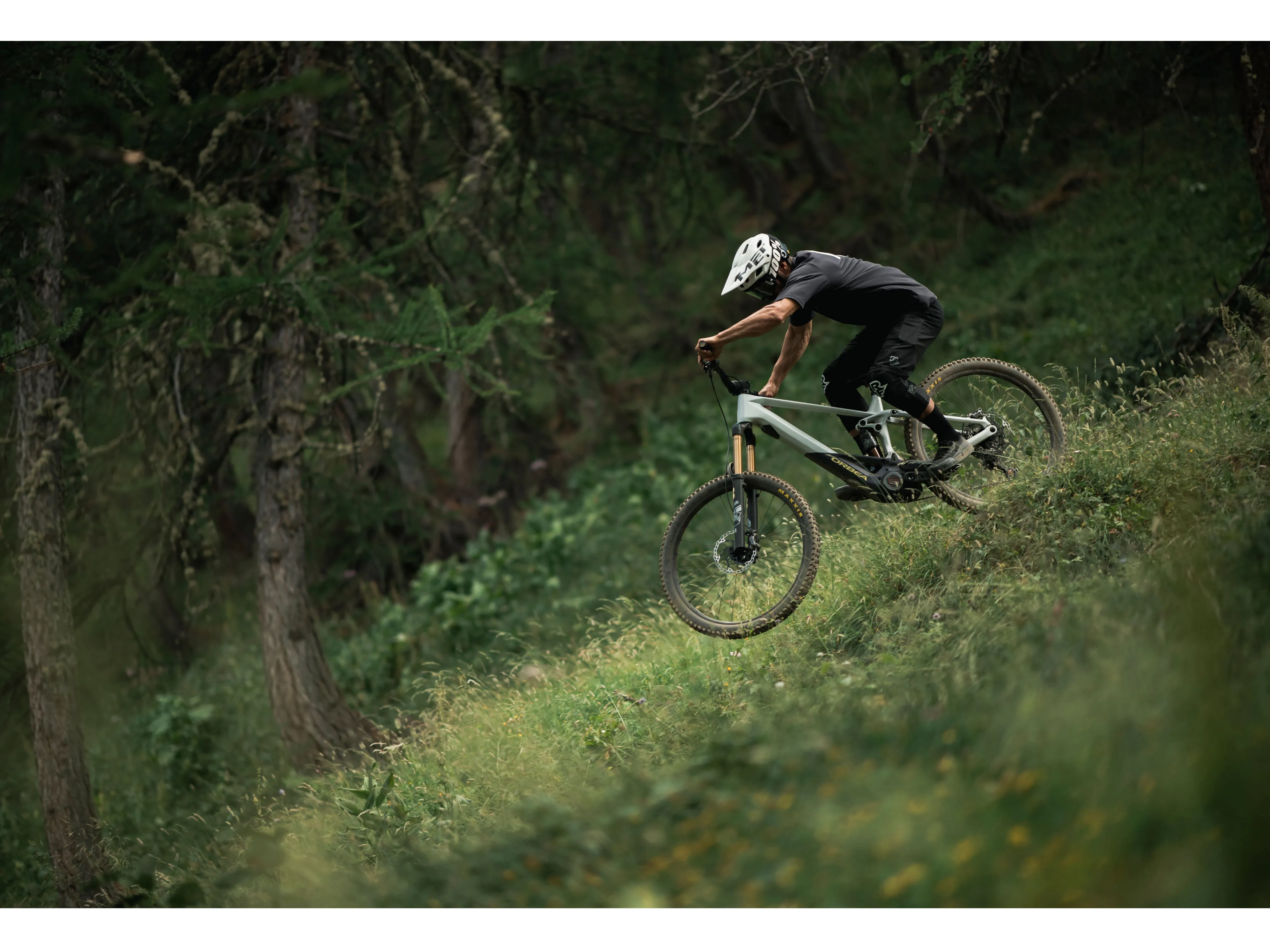 Orbea Wild M-LTD