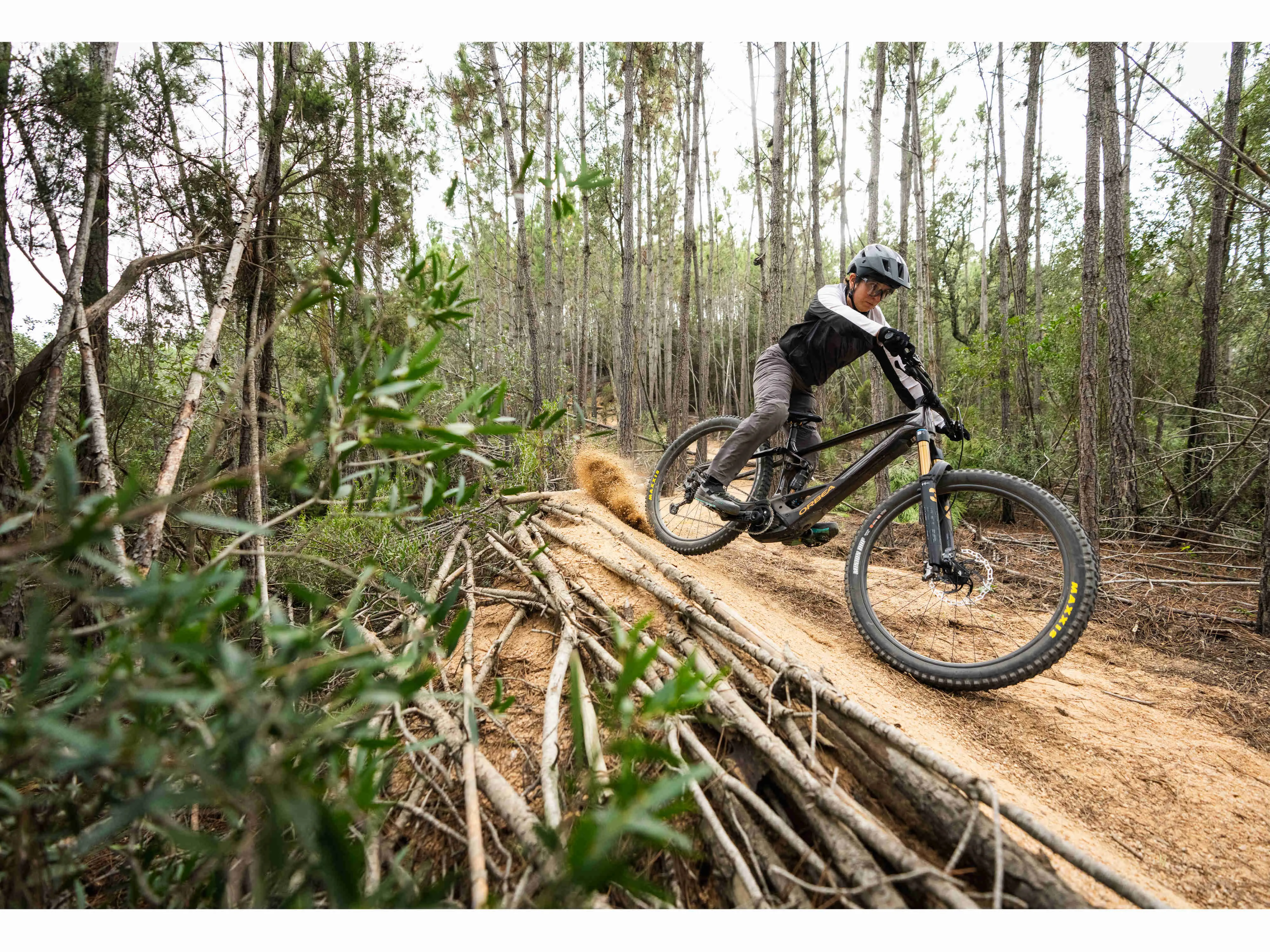 Orbea Wild M-LTD
